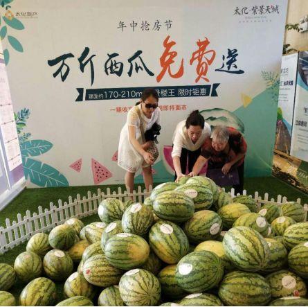 朝阳吃瓜群众一枚 全民吃瓜,吃瓜群众热议不断